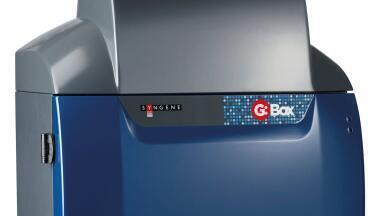 Syngene G:BOX Chemi XRQ System In Use at Top Biochemistry School